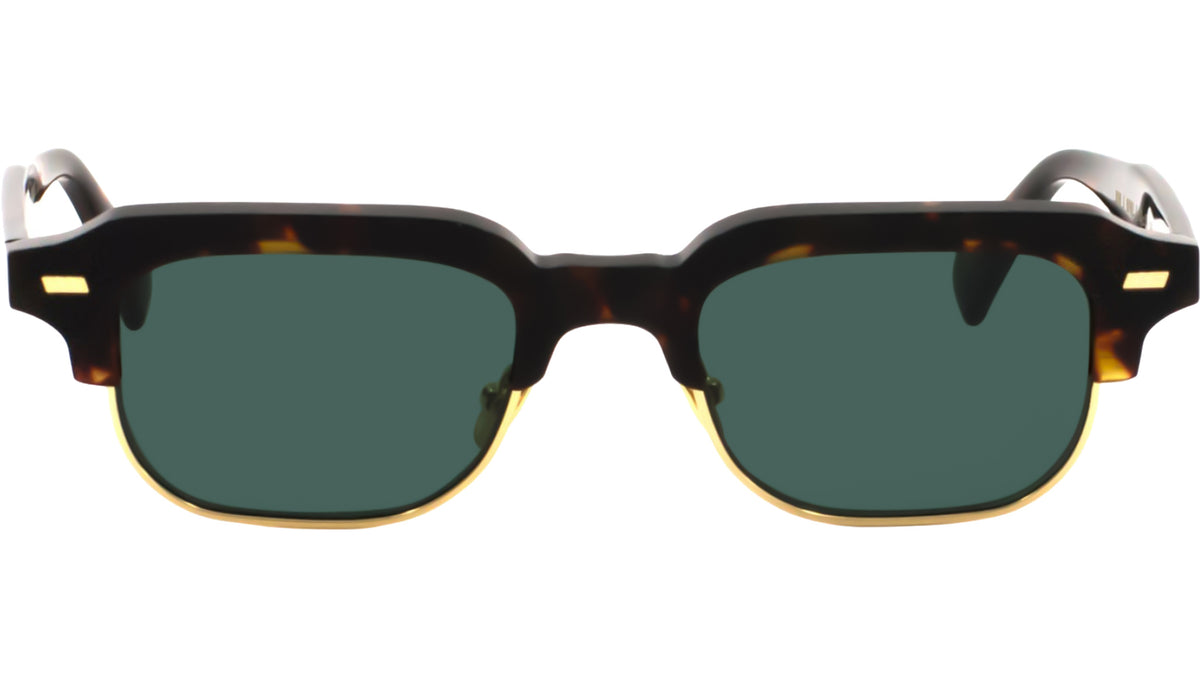 GAST RAY Classic Havana