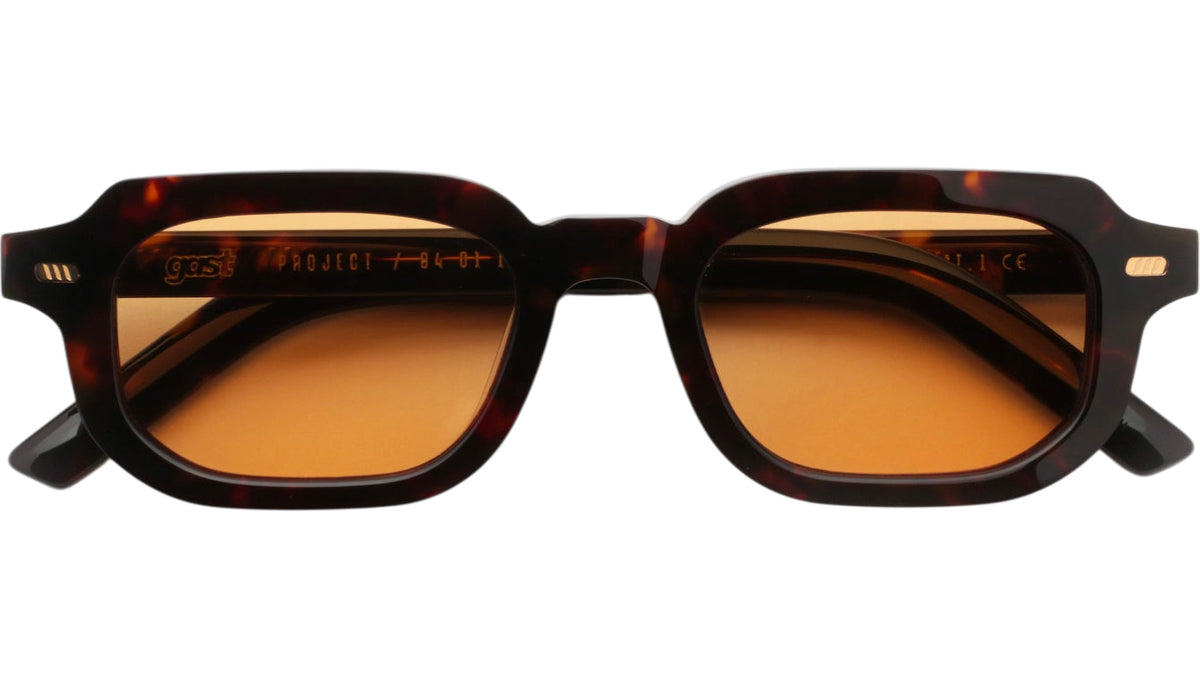 GAST PAI Classic Havana