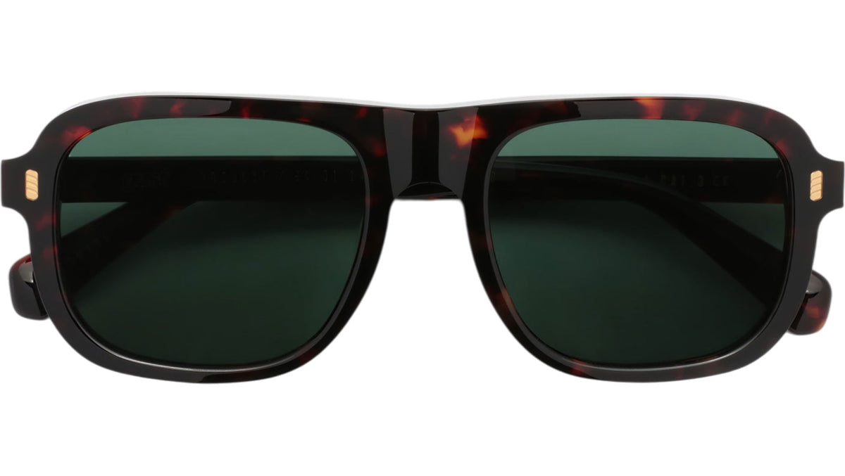 GAST SYNTRA Classic Havana