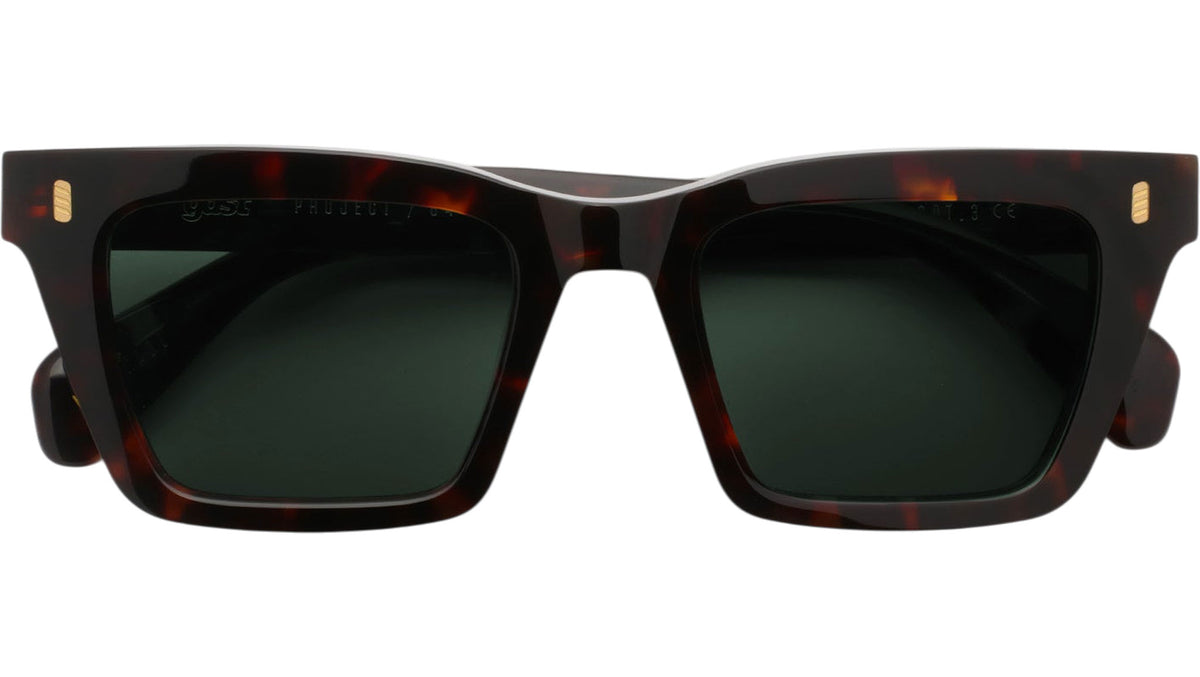 GAST ZYRON Classic Havana