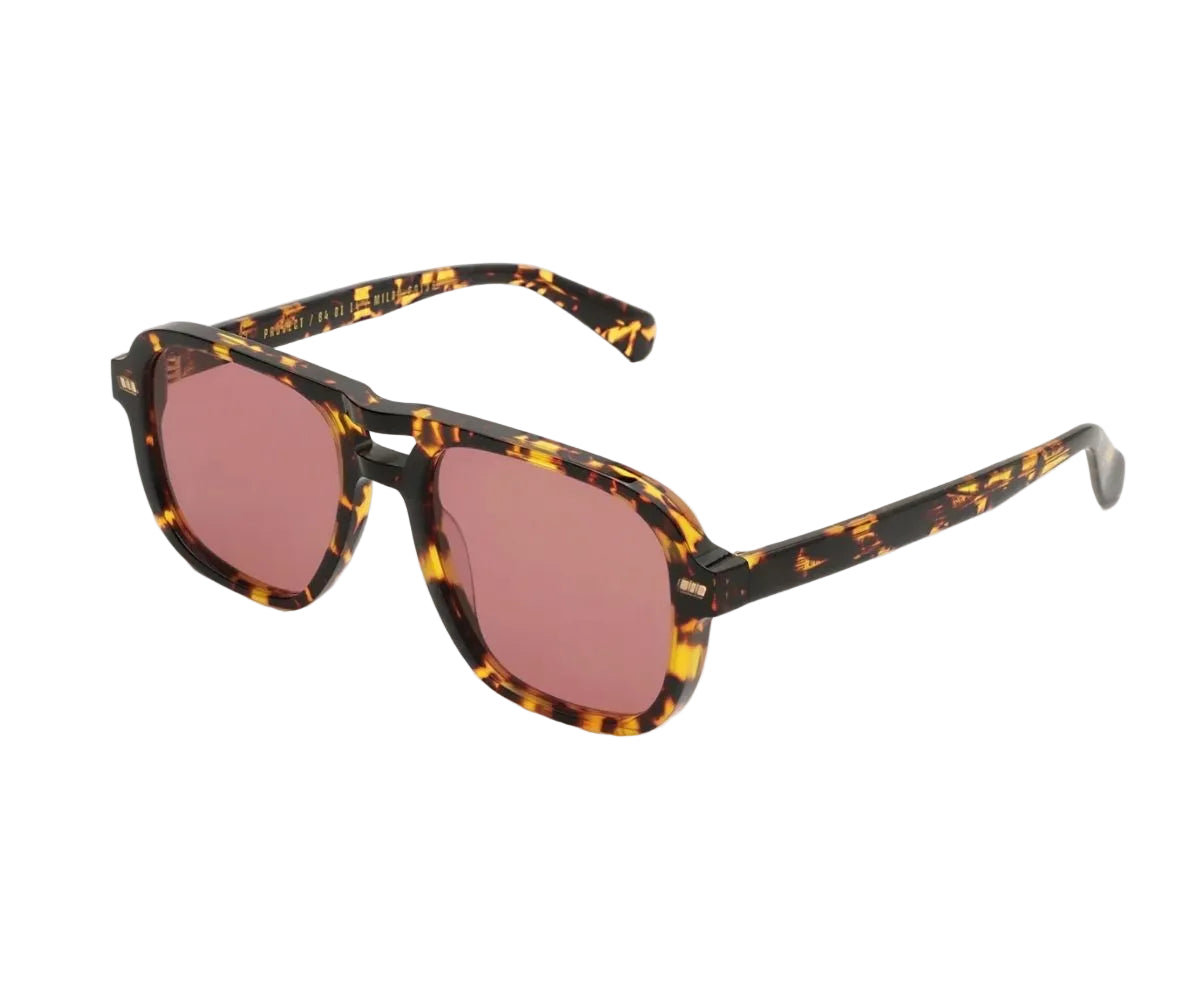 GAST SYN SY08 Havana Brown