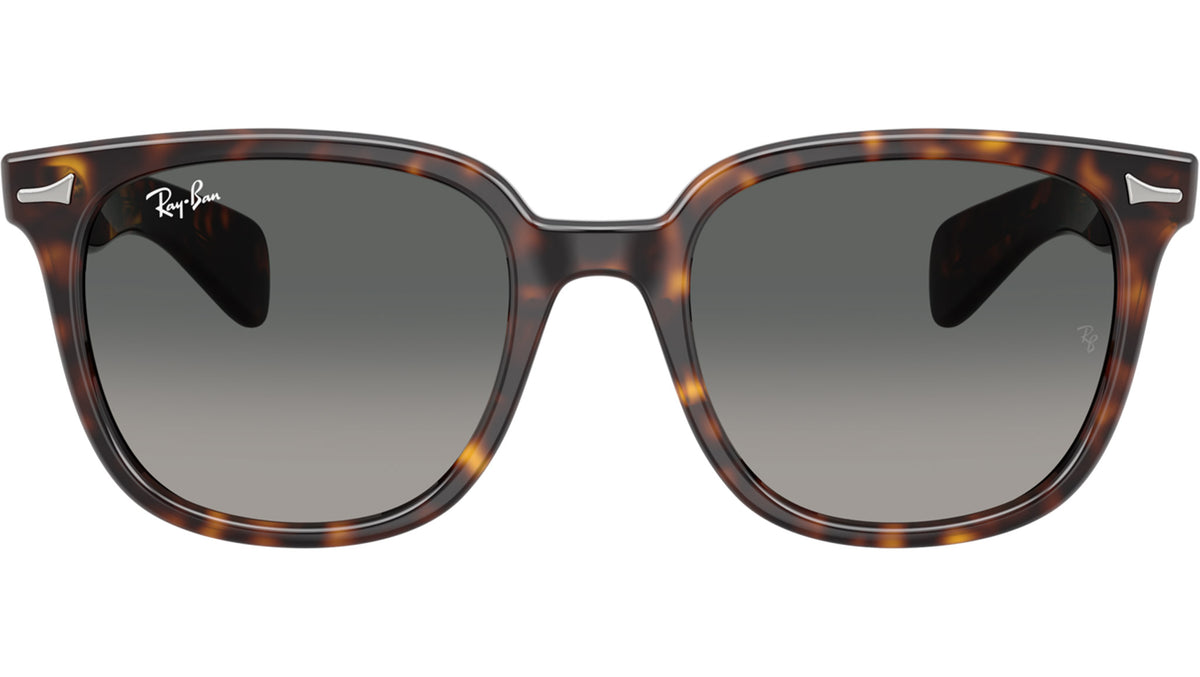 Ray-Ban Brunel II RB2235 902/71