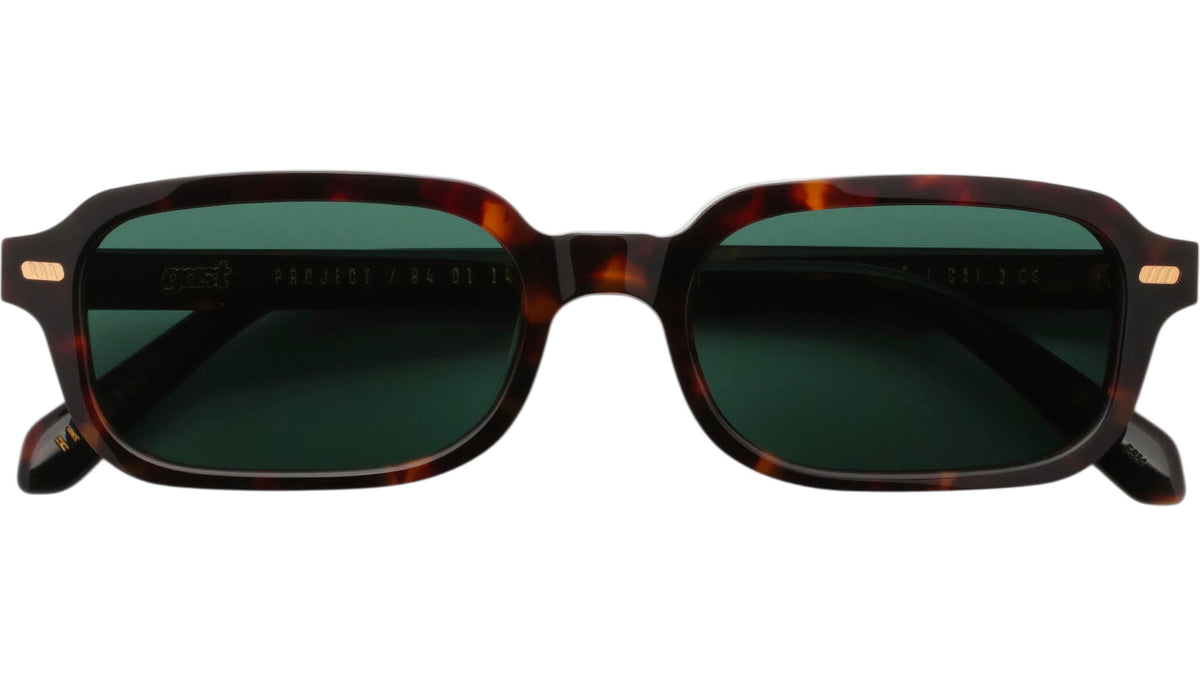 GAST VOCE Classic Havana