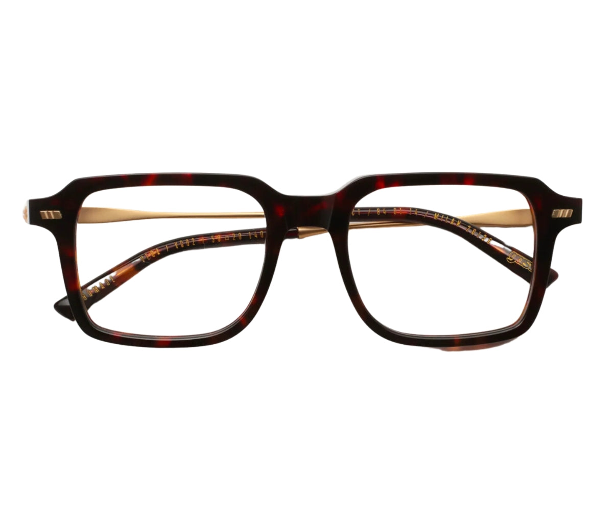 GAST VEGA VG02 Havana Brown